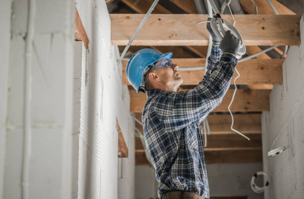 Best Electric Panel Repair  in Fruitland Park, FL