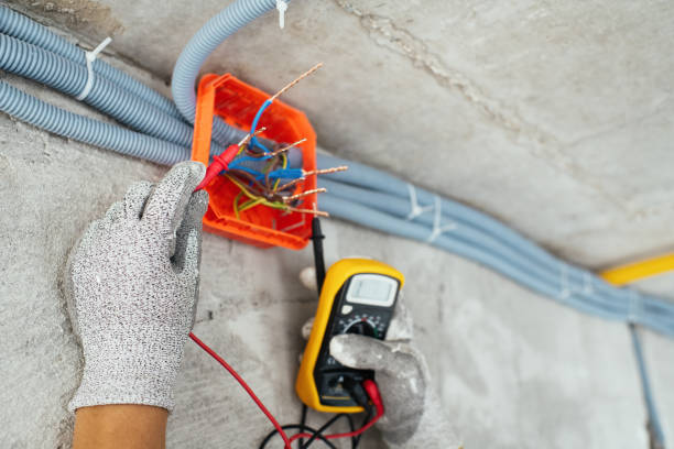 Best Licensed Electrician  in Fruitland Park, FL