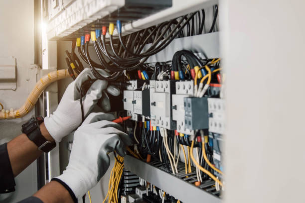 Best Local Electrician Companies  in Fruitland Park, FL